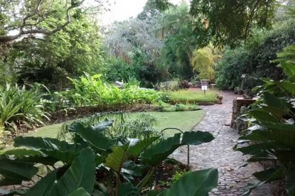 Garden Delight Full-Day Tour in Barbados
